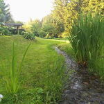 Wellness, relax
