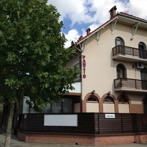 Panzi&oacute;