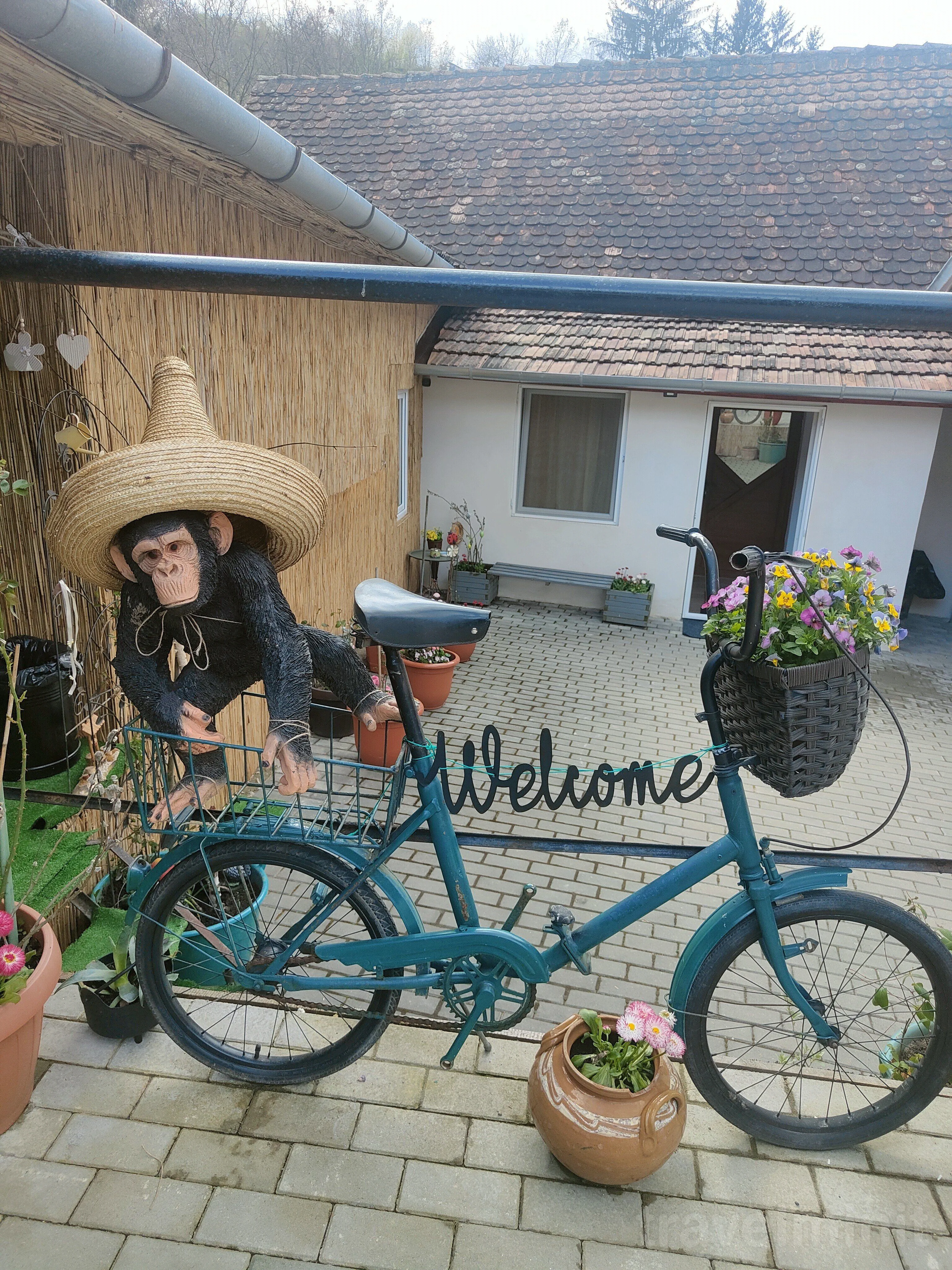 Smile Apartments Sighișoara