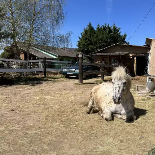 Hárpia Fészek Vendégház Pécsvárad 003 kép