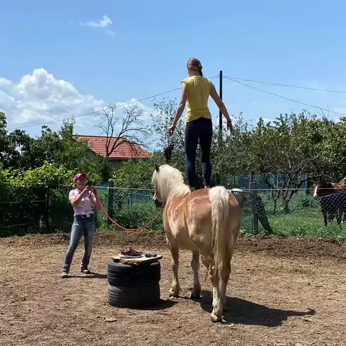 Hárpia Fészek Vendégház Pécsvárad 044 kép