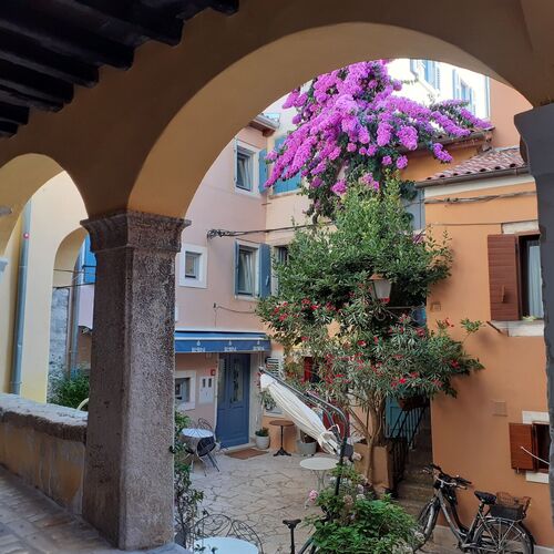 Apartment Eufemia Old Town Rovinj  2