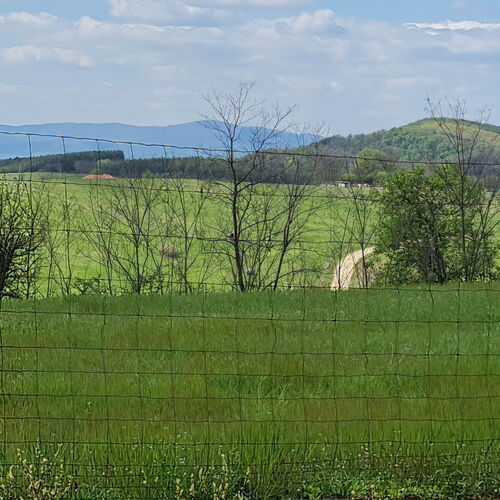 Börzsönyi látkép