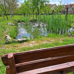 Centru Wellness, relaxare