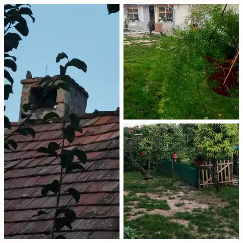 Szentirmai Vendégház és Fogadó a Rigóhoz Tengőd 012 kép