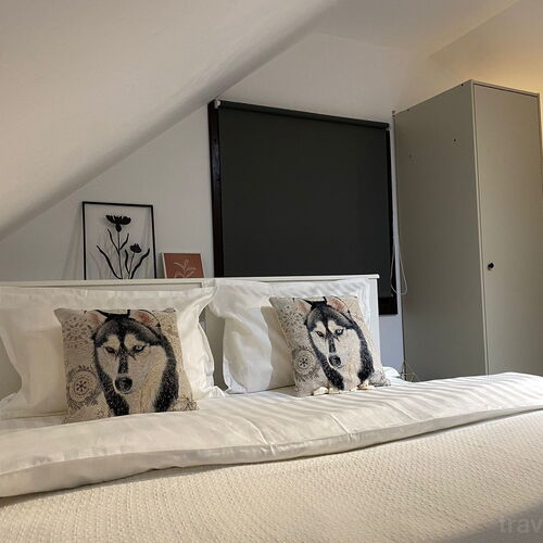 Chalet Husky Seciuri