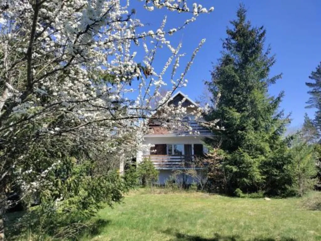 Widny Jaś Sulęczyno