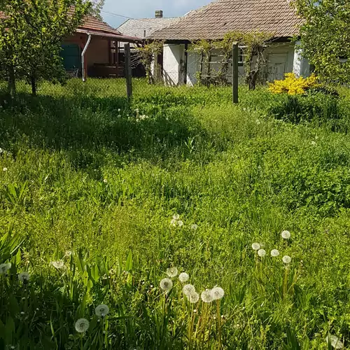 Gyümölcsös Vendégház Poroszló Tisza-tó 023 kép