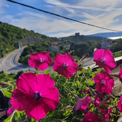 Apartmanok Parkolóhellyel Senj - 19751