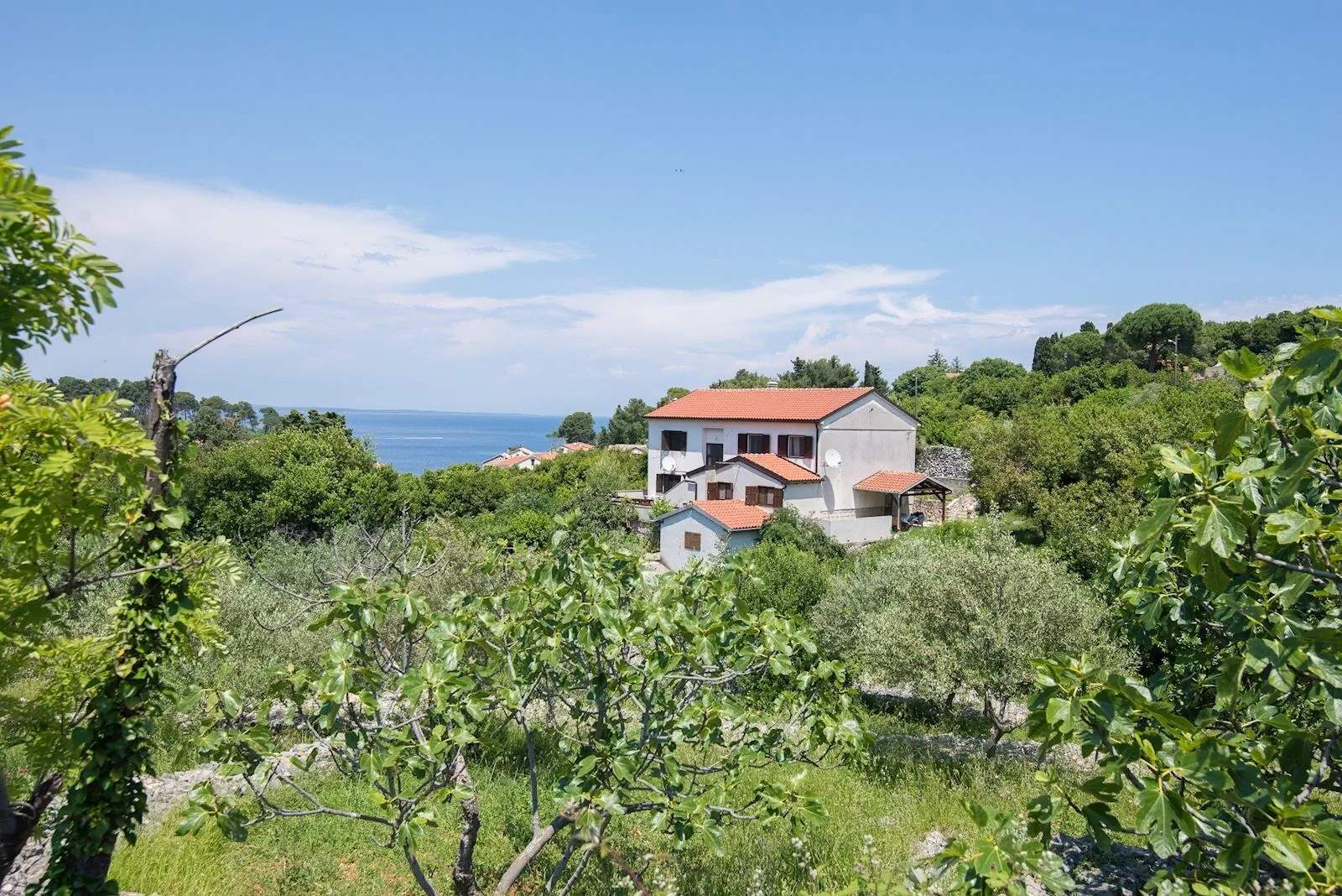 Apartments With WiFi Veli Lošinj, Lošinj - 19799 Veli Lošinj