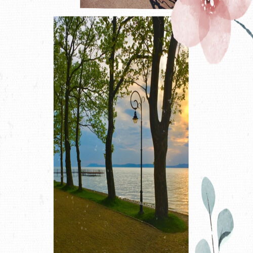Lótusz Apartman Balatonföldvár  2
