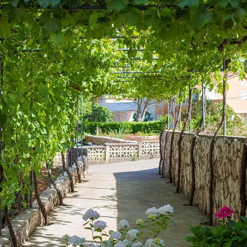 Apartman Ivy Malinska  4