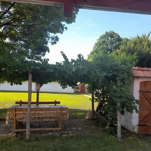 Lugas a kertben, h&uuml;s&ouml;lős hely!