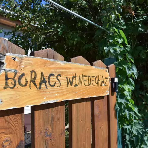 Borács Winedégház Apartman Bogác 070 kép