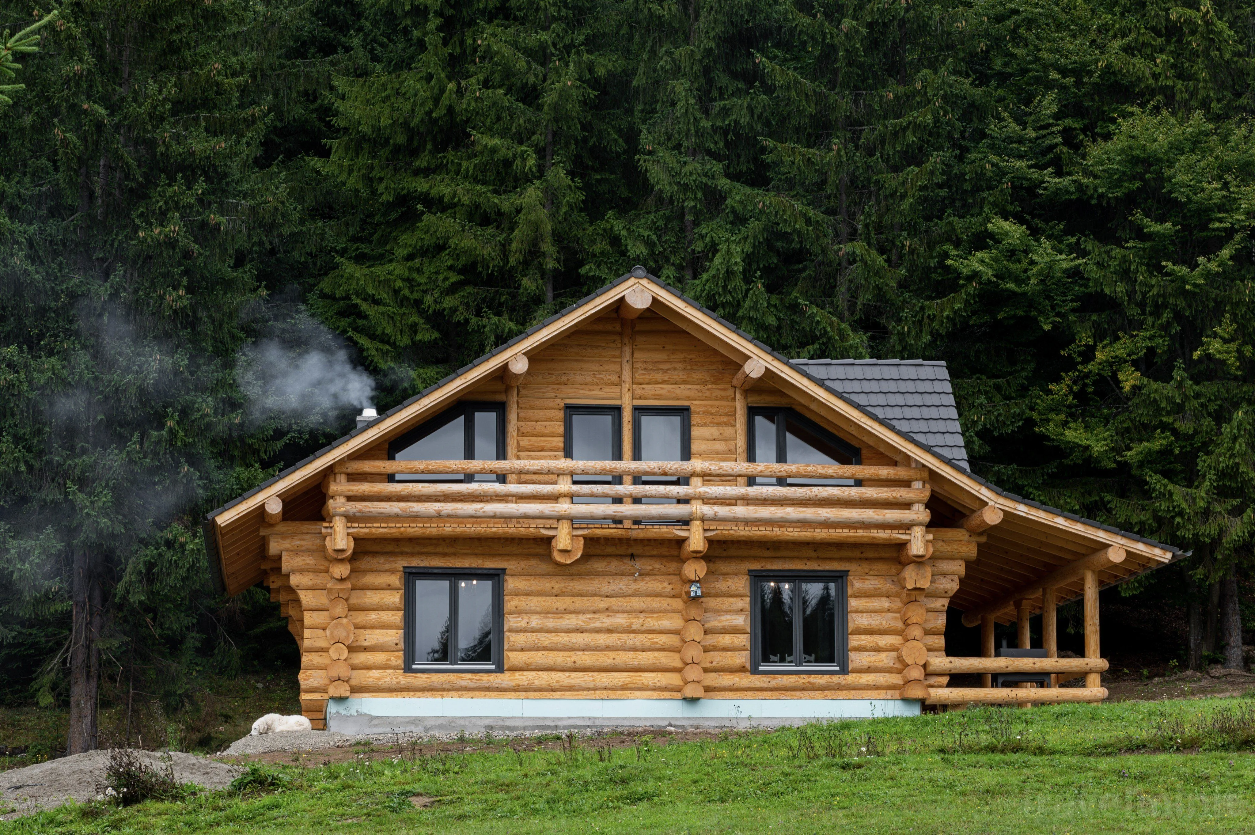 Cabana Ursul Negru Izvoare