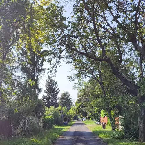 Liliomvölgy Vendégház Balatonaliga 010 kép