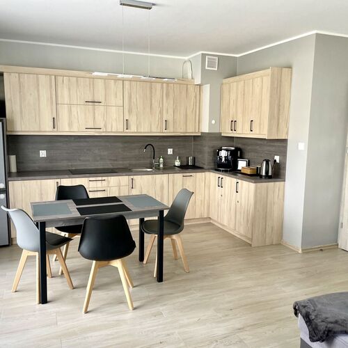 Pok&oacute;j z aneksem kuchennym