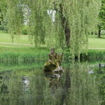 Wellness, relax