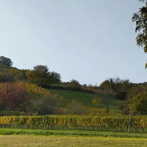 Lesence Zug Vendégház Lesencetomaj 002 kép