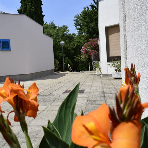 Apartments Lavin Malinska  4