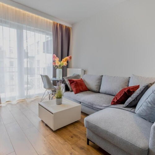 Pokój wypoczynkowy z opcja spania(rozkładana sofa)