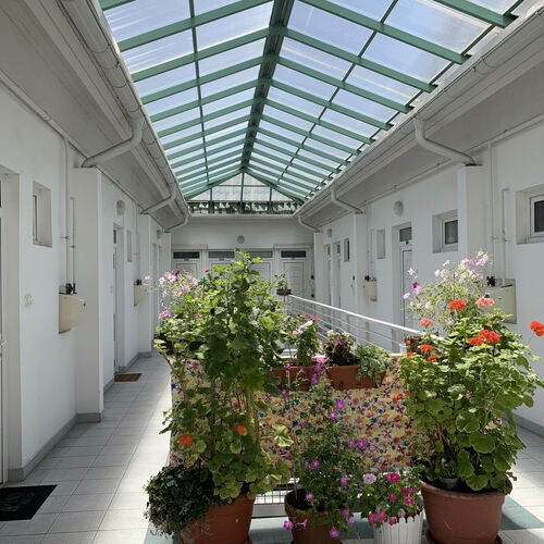 Tópart Apartman Hévíz  4