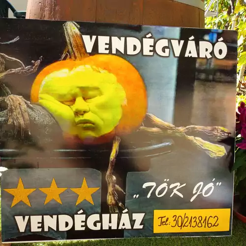 Vendégváró Vendégház Hódmezővásárhely 024 kép