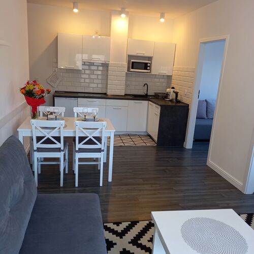 salon z aneksem kuchennym