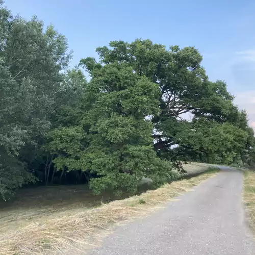 Kancsal Harcsa Panzió és Halászcsárda Tiszatelek 005 kép