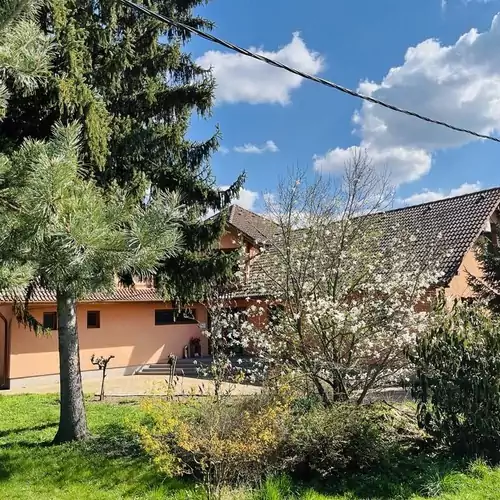 Kancsal Harcsa Panzió és Halászcsárda Tiszatelek 010 kép