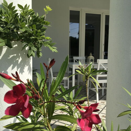 Villa Rosa Centre Balatonfüred  3