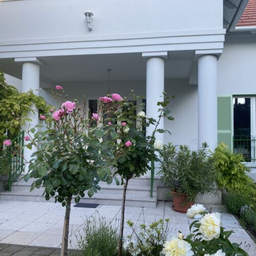 Villa Rosa Centre Balatonfüred  4