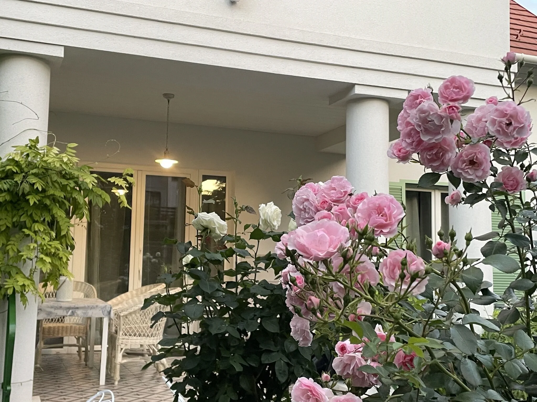 Villa Rosa Centre Balatonfüred
