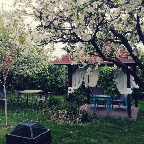 Mazsola Vendégház Békésszentandrás