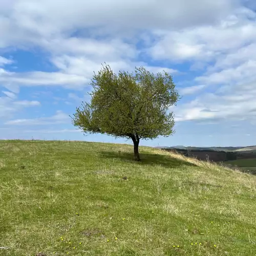 Sylvatica Vendégház Bükkszentmárto 015 kép