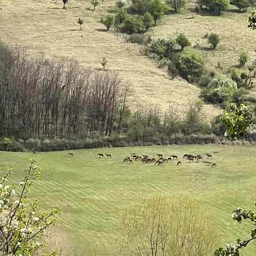 Sylvatica Vendégház Bükkszentmárto 016 kép