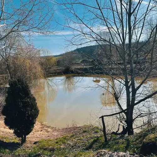 Borostyán Pihenőpark Mende 003 kép