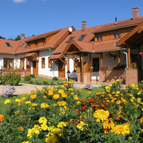 Vir&aacute;gz&aacute;s