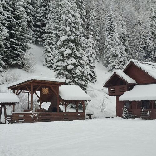 Casa Pleșa Răchițele