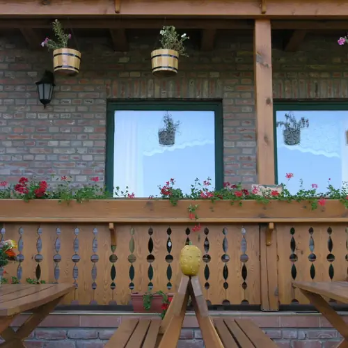 F&ouml;ldszinti erk&eacute;ly