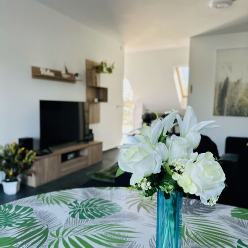 Nappali, étkező. Nagy képernyős tv, kihúzható kanapé.