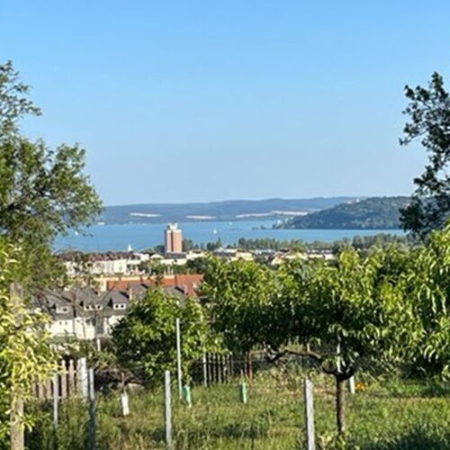 Hegytető Vendégház Balatonfüred  2