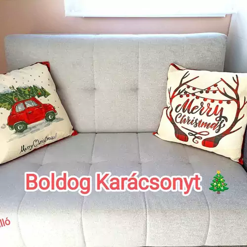 A Vityilló Apartmanok Gyula 006 kép