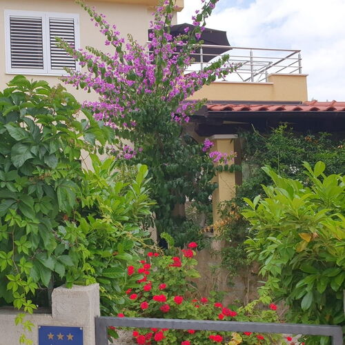 Apartman Sara uvala Osibova Milna  2