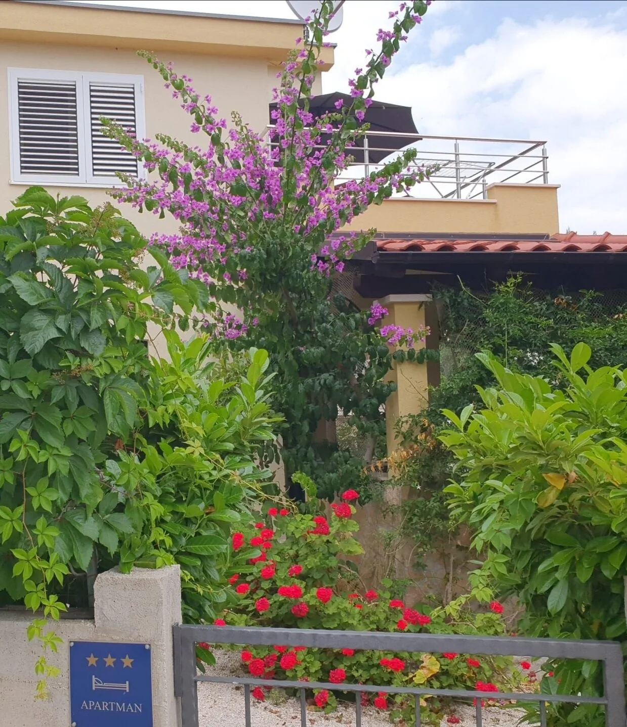 Apartman Sara Uvala Osibova Milna