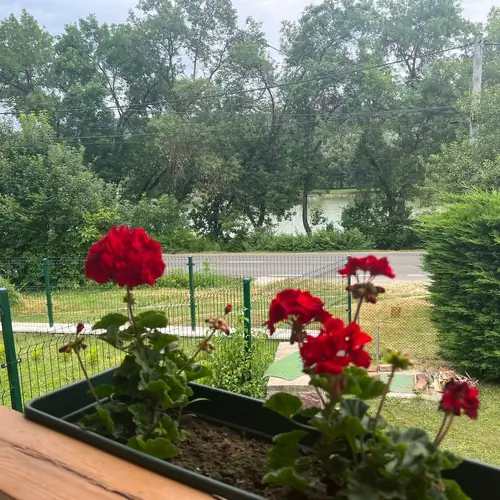 Kil&aacute;tas a t&oacute;ra