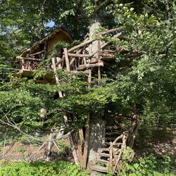Casa pe copaci cu nouă roți Calonda