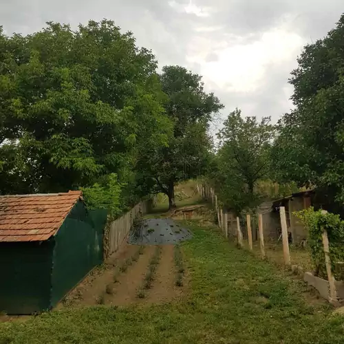 Süni-Lak Vendégház Fedéme 012 kép
