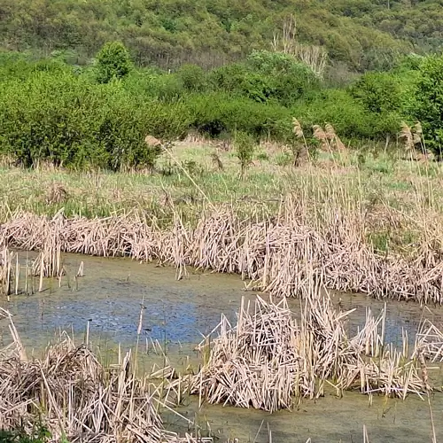 Süni-Lak Vendégház Fedéme 039 kép