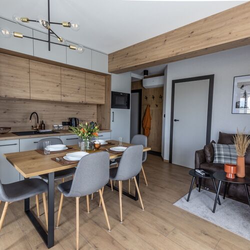 Salon z aneksem kuchennym